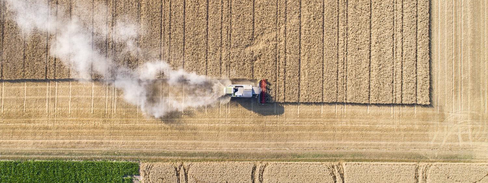 Ernteeinbringung Traktor auf Feld